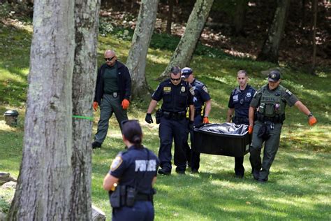 Bear euthanized after attacking 7.